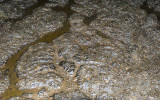 Floor in Valentine Cave in Lava Beds National Monument
