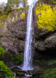 Latourell Falls from the trail along the Columbia River Gorge