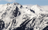 Mount Ferry (6,195 ft) along Hurricane Ridge in Olympic National Park
