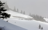 View of the Hurricane Ridge Road in Olympic National Park