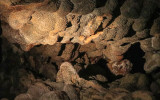 Nailhead and dogtooth spar formation in Jewel Cave National Monument