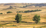 Expansive prairie from the Sperati Point Trail in Theodore Roosevelt NP - North Unit