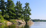 Island bedrock shoreline in Voyageurs National Park