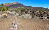 Sunset Crater and cinder dunes from the Bonita Vista Trail in Sunset Crater Volcano National Monument