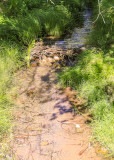 Low-lying stream in Desert National Wildlife Refuge