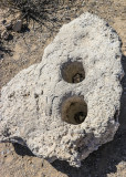 Indian mortar stone in Desert National Wildlife Refuge