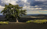 Craters of the Moon NM Idaho (2018)