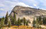Lembert Dome along the Tioga Road in Yosemite National Park