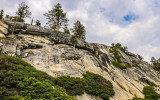 Trees grow from the side of a granite outcropping along the Tioga Road in Yosemite National Park