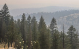 Smoke blankets hills and forests along the southern end of the Tioga Road in Yosemite National Park