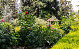 The Korbel garden and gazebo at the Korbel Champagne Cellars