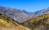 View into Kings Canyon from Giant Sequoia National Monument
