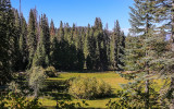 Meadow near Quail Flat in Giant Sequoia National Monument
