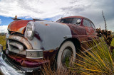 1951 Hudson Hornet and Yucca Plant