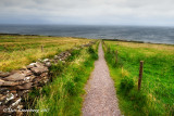 Path to the Sea