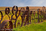 Fence of Antique Tractor Wheels