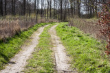 IMG_7269.jpg