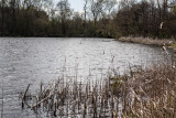 IMG_7271.jpg