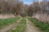 IMG_7273.jpg