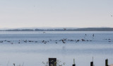 IMG_7489-2.jpg