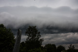 IMG_7530.jpg