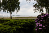 IMG_7534.jpg