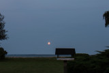 IMG_9717.jpg