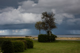 IMG_9749.jpg