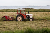 IMG_9814.jpg