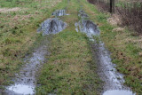 IMG_0039.jpg