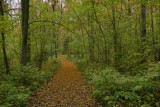 Vilce Nature Trails