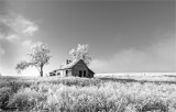 Black White Old Homestead Lincoln County