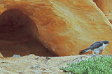 A24I0631 copy s.jpg