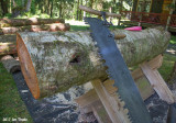 About 4 Cut off bucking saw