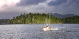Going Fishing