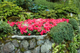 IMG_8422w.jpg