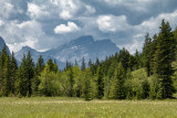 IMG_0366w.jpg