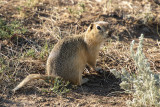 IMG_0632w.jpg