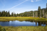 Paradise Meadows Loop Trail, Strathcona Provincial Park