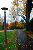 Penn State Campus Autumn (20).JPG