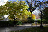Penn State Campus Autumn (38).JPG