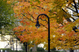 Penn State Campus Autumn (39).JPG