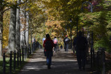 Penn State Campus Autumn (50).jpg