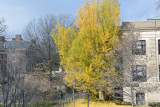Penn State Campus Autumn (6).JPG