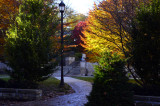 Penn State Campus Autumn (7).JPG