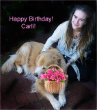 Carli bdy 2017.jpg