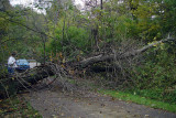 DSC04856800.jpg