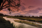 595A4247_1_DxO.jpg
