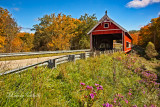 NETCHER ROAD COVERED BRIDGE_5610.jpg