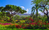 WELCOME TO PARADISE-0445.jpg